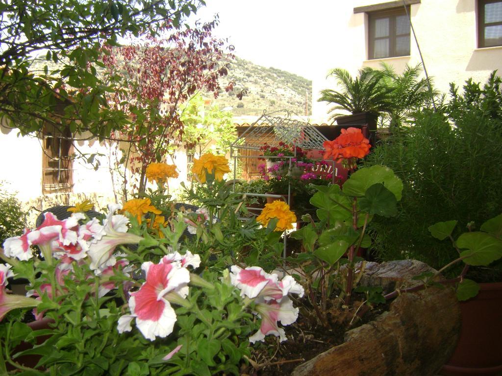 Apartamentos Rurales La Muralla II Canete  Luaran gambar